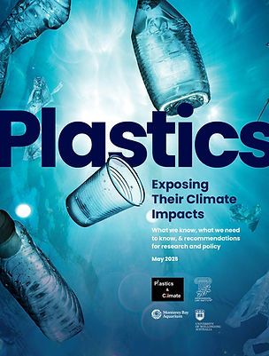Report cover